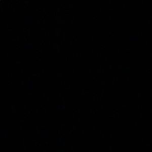 Meet your Posher, Saran